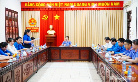 Tuổi trẻ Đoàn các cơ quan Đảng tỉnh Đồng Tháp phát huy tinh thần xung kích, sáng tạo