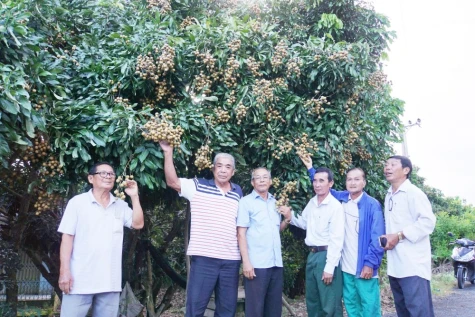Canh Tân Hội quán: 10 năm thay đổi tư duy sản xuất