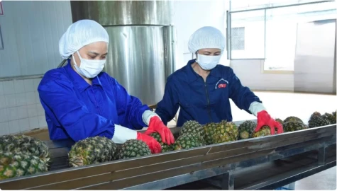 Duy trì thị trường nông sản Trung Đông