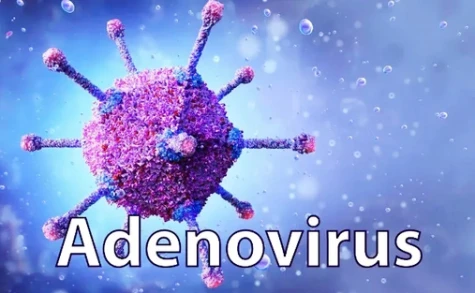 Bộ Y tế cảnh báo khẩn trước việc gia tăng bệnh do virus Adeno và đau mắt đỏ