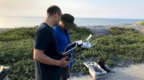 Sử dụng UAV giám sát hệ sinh thái ven biển