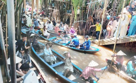 Cù lao Thới Sơn “gây sốt” giới trẻ với trải nghiệm đi đò chèo