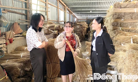 Chi cục Phát triển nông thôn khảo sát làng nghề bó chổi xã Vĩnh Hựu