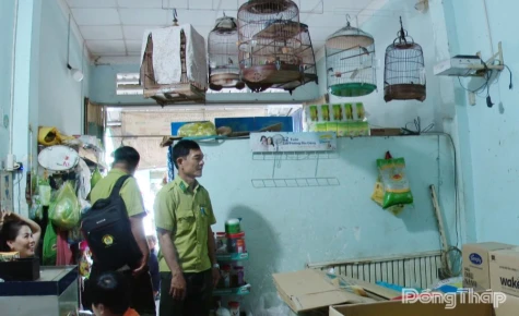 10 cá thể chim hoang dã bị nuôi nhốt được thả về tự nhiên