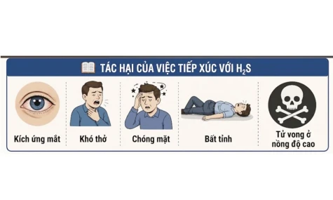 Phòng ngừa tai nạn ngạt khí biogas ở trang trại chăn nuôi