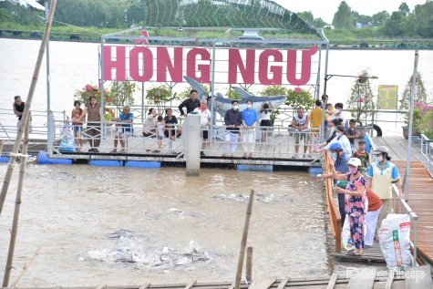 Giữ lại sự sống cho dòng sông