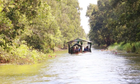 “Giữ hồn” Đồng Tháp Mười từ những trải nghiệm bản địa
