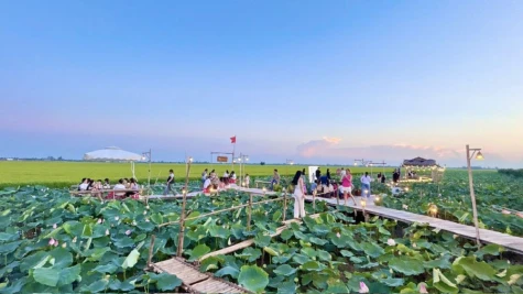 Xã Tam Nông: Phát triển nông nghiệp sinh thái từ tiềm năng du lịch