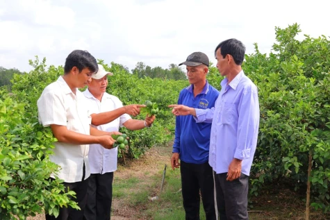 Xã Mỹ Hiệp: Động lực mới từ khoa học - công nghệ và chuyển đổi số