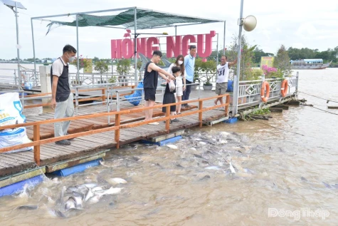 Keeping the River Alive