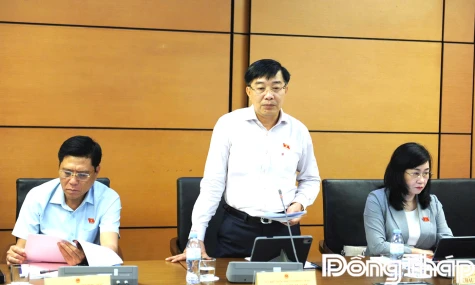 Đoàn Đại biểu Quốc hội tỉnh Đồng Tháp thảo luận, góp ý các dự án luật, dự thảo nghị quyết