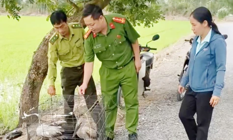 Thực hiện nhiều giải pháp bảo vệ động vật hoang dã, nguồn lợi thủy sản