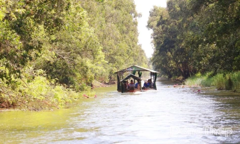 Preserving Soul of Dong Thap Muoi Through Local Experiences