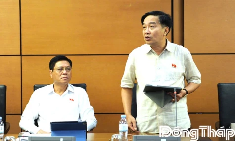 Đoàn Đại biểu Quốc hội tỉnh Đồng Tháp: Thảo luận các dự án luật, nghị quyết trình kỳ họp