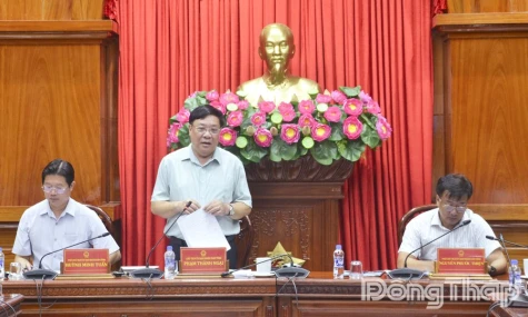 Dong Thap Focuses on Removing Bottleneck to Boost Efficiency of National Target Programmes