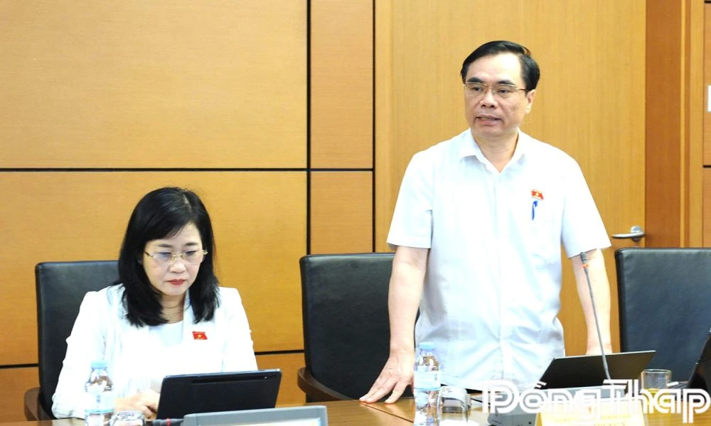 Đoàn Đại biểu Quốc hội tỉnh Đồng Tháp: Thảo luận, góp ý hoàn thiện các quy định về kiến trúc và công tác phòng, chống tội phạm