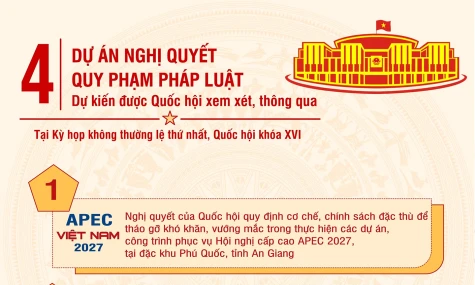 [Infographic] Bốn dự án nghị quyết quy phạm pháp luật dự kiến được xem xét, thông qua tại Kỳ họp không thường lệ thứ nhất, Quốc hội khóa XVI