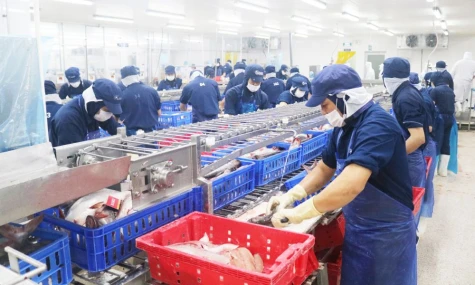 Đồng Tháp: Chuẩn bị nguồn nhân lực cho giai đoạn phát triển công nghiệp mới