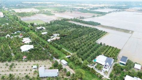 Nông nghiệp Đồng Tháp nỗ lực bứt tốc về đích