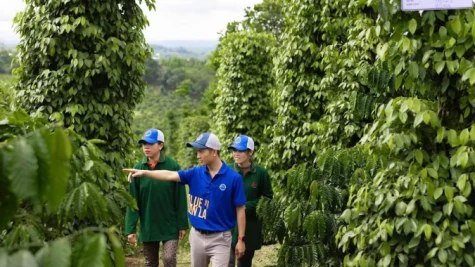 Gia tăng áp lực cạnh tranh tại thị trường EU