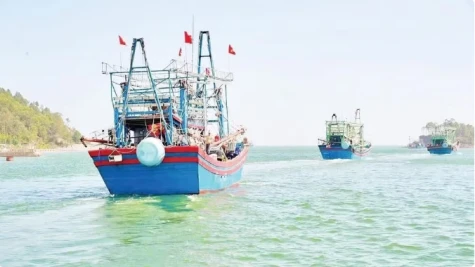 Quyết tâm gỡ cảnh báo “thẻ vàng” IUU