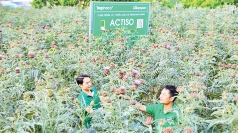 “Đòn bẩy”cho công nghiệp dược liệu