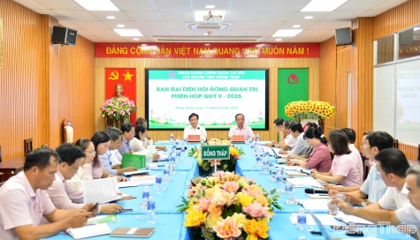 Đồng Tháp: 7 tháng, hơn 13.037 tỷ đồng dư nợ tín dụng chính sách