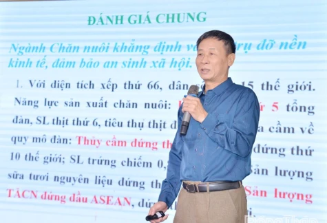 Phát triển chăn nuôi gia cầm bền vững và hiệu quả