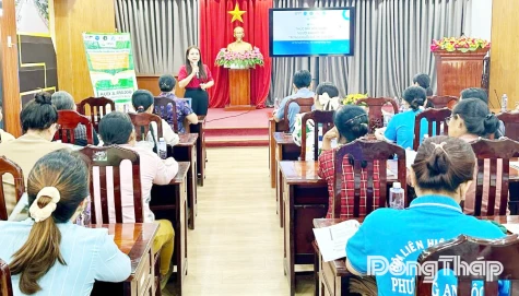 Thúc đẩy phát triển chuỗi giá trị lúa - gạo bền vững và thích ứng biến đổi khí hậu tại Đồng Tháp