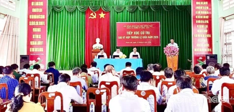 Cử tri xã Thanh Mỹ kiến nghị về quy hoạch vùng trồng và quản lý vật tư nông nghiệp