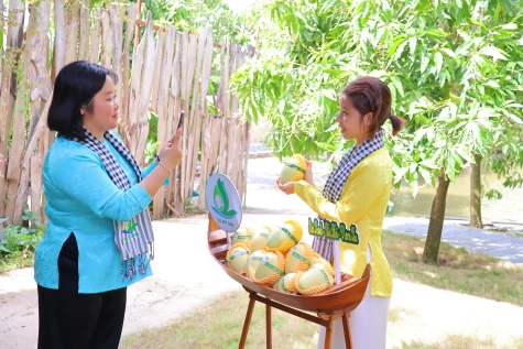 Nâng tầm chuỗi giá trị trái xoài bằng khoa học công nghệ