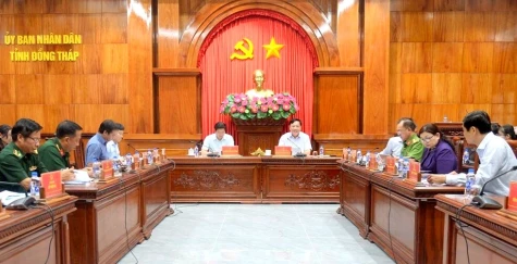 Đồng Tháp đẩy nhanh xử lý văn bản sau sáp nhập