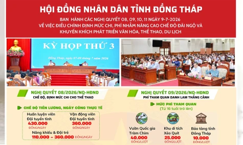 [Infographic] Nghị quyết 08, 09, 10, 11 ngày 9-7-2026 của HĐND tỉnh Đồng Tháp