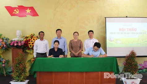 Phường Mỹ Trà: Hội thảo liên kết tiêu thụ lúa chất lượng cao, phát thải thấp