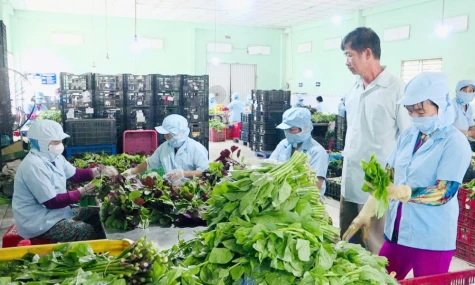 Xã Vĩnh Bình: Dồn lực bứt phá, quyết tâm hoàn thành thắng lợi nhiệm vụ năm 2026
