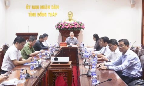 Đồng Tháp: Chuẩn bị tổ chức Giải Marathon Đất Sen hồng - Đồng Tháp năm 2026