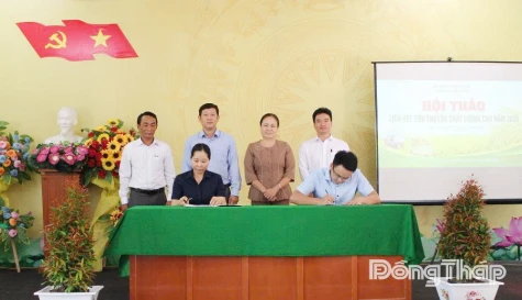 Phường Mỹ Trà: Nhân rộng mô hình sản xuất lúa chất lượng cao, phát thải thấp