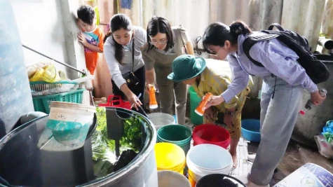 Đồng Tháp: Tăng cường phòng, chống sốt xuất huyết và tay chân miệng