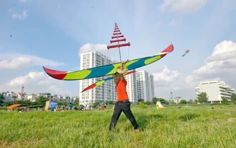 Hiểm họa từ diều sáo “khủng”