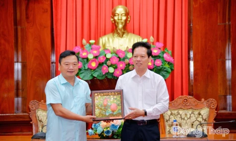 Ha Tinh Delegation Shares, Learns from Dong Thap's Experience