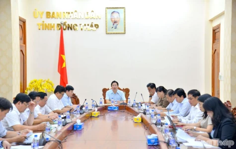 Dong Thap Steps up Implementation of Politburo’s Resolution No. 71 on Breakthrough Development of Education and Training