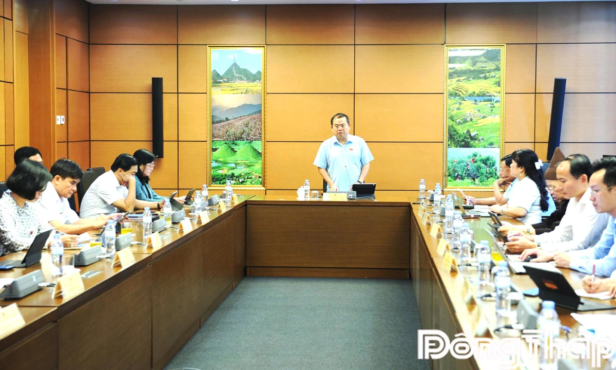 Đại biểu Quốc hội tỉnh Đồng Tháp góp ý hoàn thiện các dự án luật trong lĩnh vực tư pháp