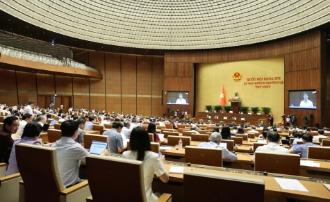 Đại biểu Quốc hội: Bảo đảm cuộc sống, sinh kế của người dân có đất bị thu hồi
