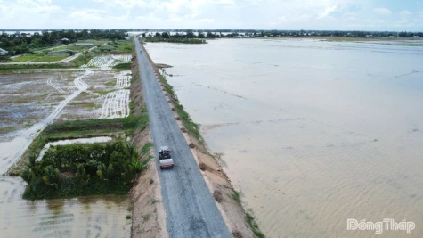 Đồng Tháp: Dự báo đỉnh lũ năm 2026 thấp hơn năm 2025 từ 0,1 - 0,3 m