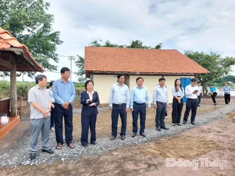 Đồng Tháp: Triển khai Nghị quyết 29 của Quốc hội về xử lý vi phạm đất đai và tháo gỡ vướng mắc dự án tồn đọng