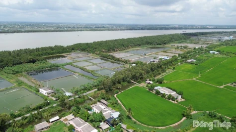 Cảnh báo xâm nhập mặn có thể đến sớm từ giữa tháng 11-2026