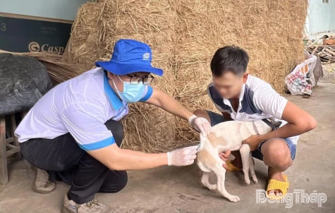 Đồng Tháp: Cảnh báo từ ca tử vong do bệnh dại ở bé gái 4 tuổi