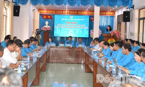 Đồng Tháp: Tập trung phát triển đoàn viên, nâng cao chất lượng hoạt động Công đoàn