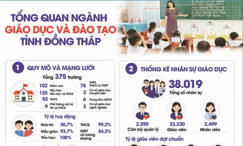 [Infographic] Tổng quan ngành Giáo dục và Đào tạo tỉnh Đồng Tháp
