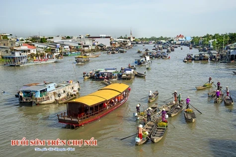 Dong Thap to host diverse activities marking Vietnam Culture Day